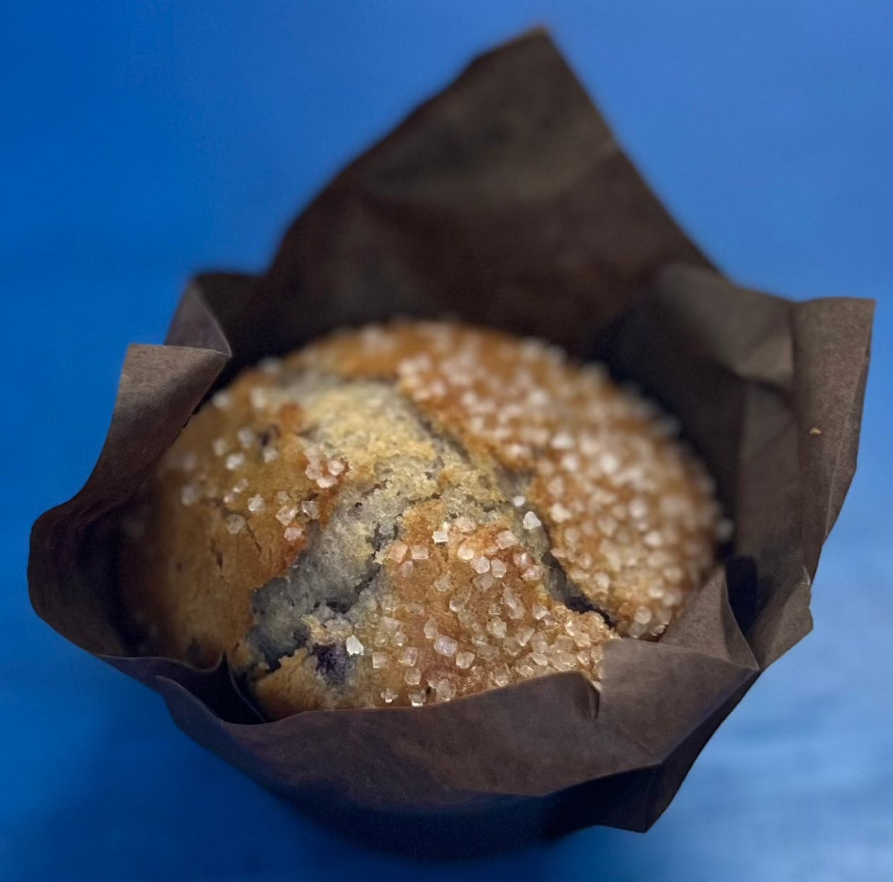 Lemon Blueberry Jumbo Muffins (3 Dozen)