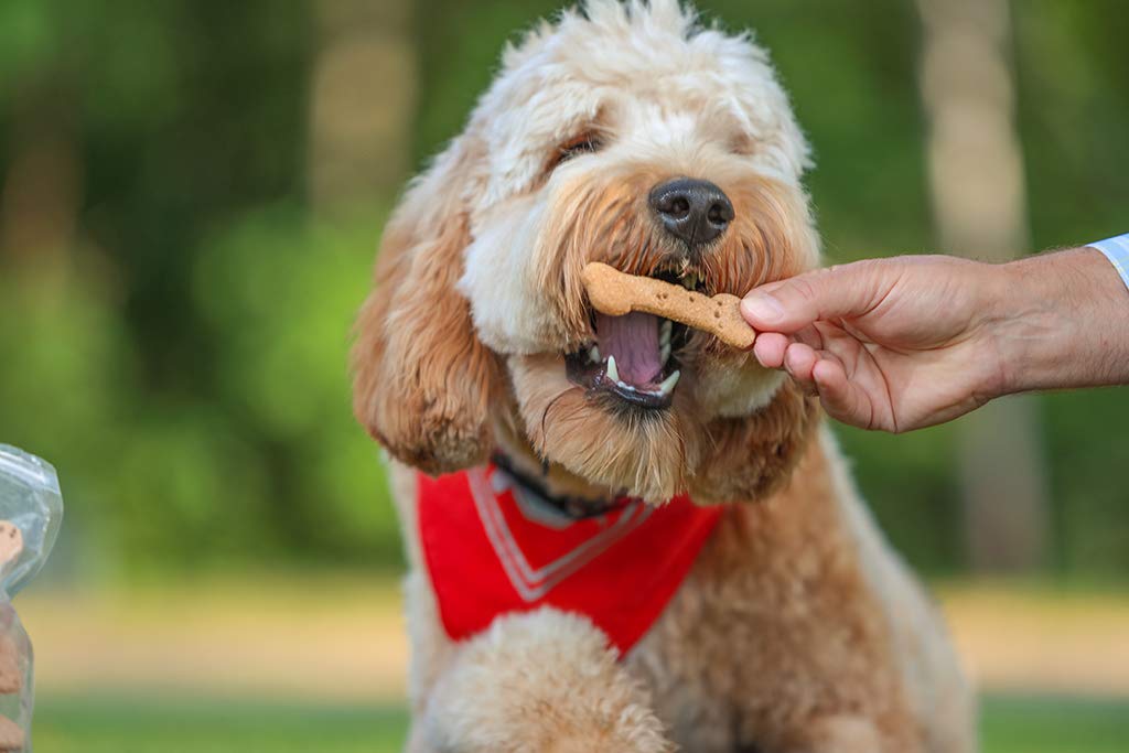 Pets & People Dog Treats (increments of 8 bags)